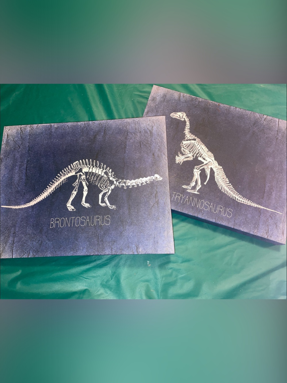 Navy Dinosaur fossil prints